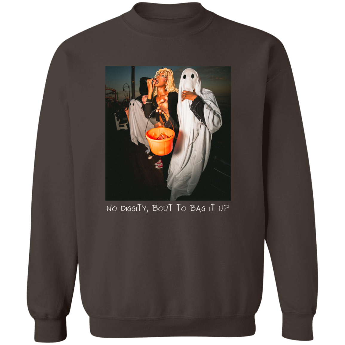 No Diggity Halloween Pullover Sweatshirt